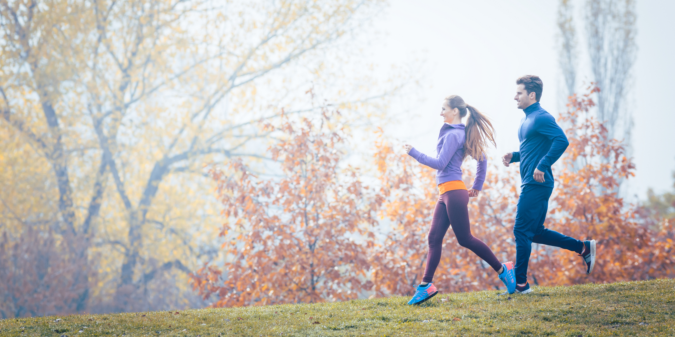 Harvest Your Health Giveaway