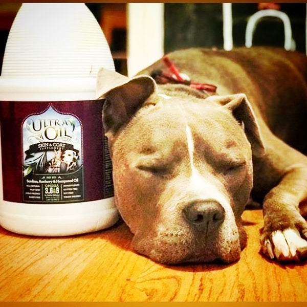 Ultra Oil for Pets CPL